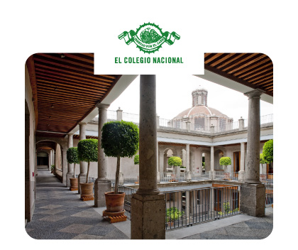 evento-colegio-nal evento-colegio-nal